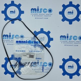 GUARNIZIONE, COPERCHIO PUNTERIE 970302765 Nanni