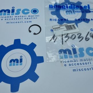 ANELLO, RITENUTA POMPA ACQUA F4B-9 970303693 Nanni