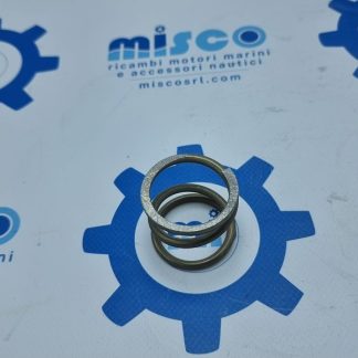MOLLA TERMOSTATO 2. 50HE 970307014 Nanni