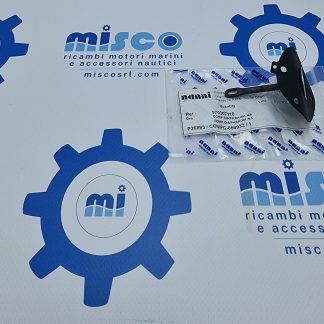 MEMBRANA POMPA ALIM. 970307110 Nanni