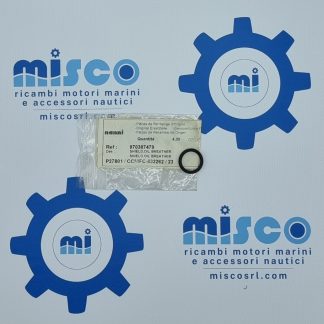 SCHERMO, PARAOLIO 970307479 Nanni