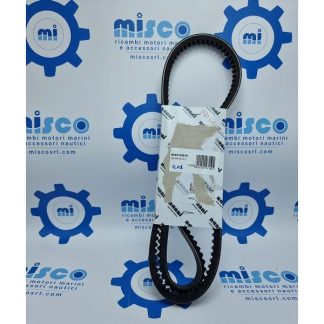 CINGHIA A V 970310301P Nanni