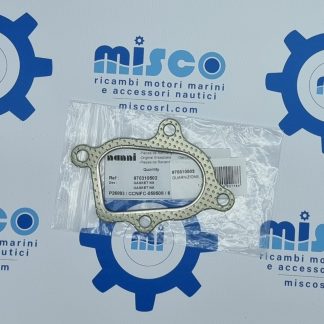 GUARNIZIONE, MISCELATORE DI SCARICO 970310502 Nanni