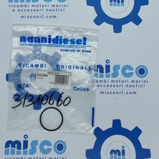O-RING  970310660 Nanni