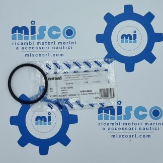 O-RING TERMOSTATO T4. 200 970312048 Nanni