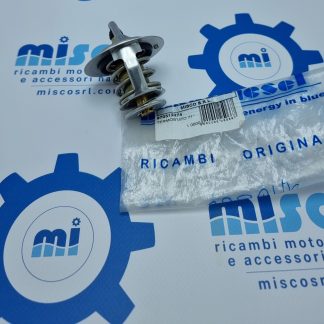 TERMOSTATO 71° GRADI 970312274 Nanni