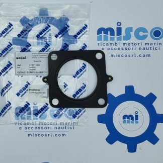 GUARNIZIONE MISC. 6.420 970312690 Nanni