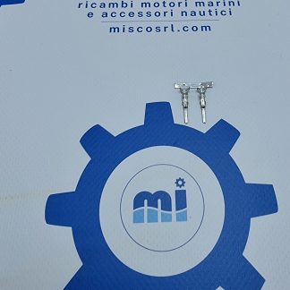 CONNECTION 970313925 Nanni