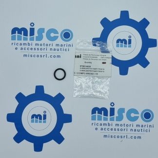 O-RING, POMPA ACQUA F7B-9/10 970614626 Nanni