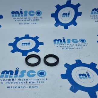 Anello di Tenuta 4595101