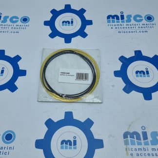 SERIE GUARNIZIO 12032102F  VM