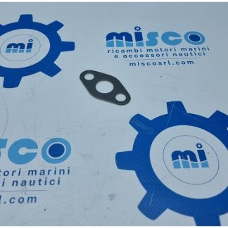 GUARNIZIONE  22032279F  VM