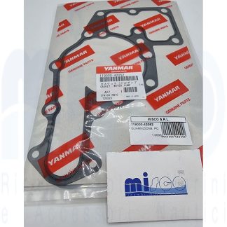 GUARNIZIONE=11900042051 119000-42052 Yanmar