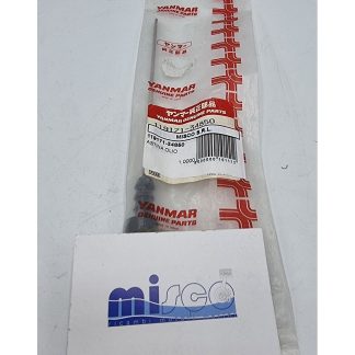 ASTINA OLIO 119171-34850 Yanmar