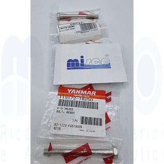 BULLONE 6X65 119172-18250 Yanmar