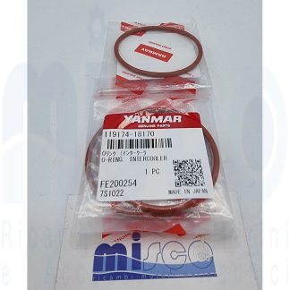 O RING 119174-18170 Yanmar