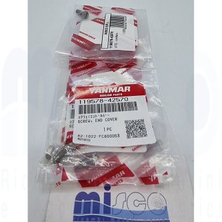 VITE - confezione 6 pz 119578-42570 Yanmar