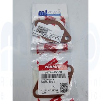 GUARNIZIONE  6LY3ETP 119578-49300 Yanmar