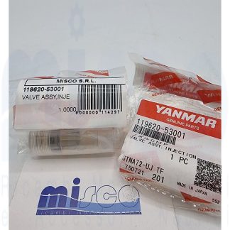 POLVERIZZATORE 3TNE68AC 119620-53001 Yanmar