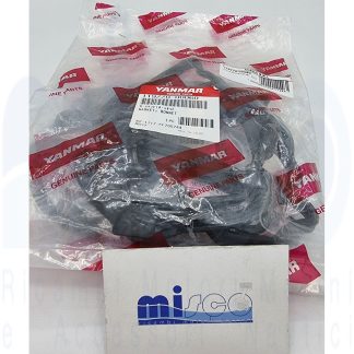 GUARNIZIONE COPERCHIO PUNTERIE 6LPADTE 119770-00060 Yanmar