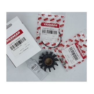 KIT DE TURBINE 6LP 119773-42640 Yanmar