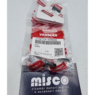 VITE 6LP-STE 119775-53920 Yanmar