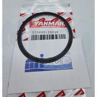 GUARNIZIONE 6BY 120660-18210 Yanmar
