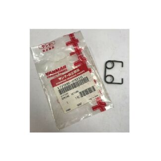 Molla, Ritorno 177095-03210